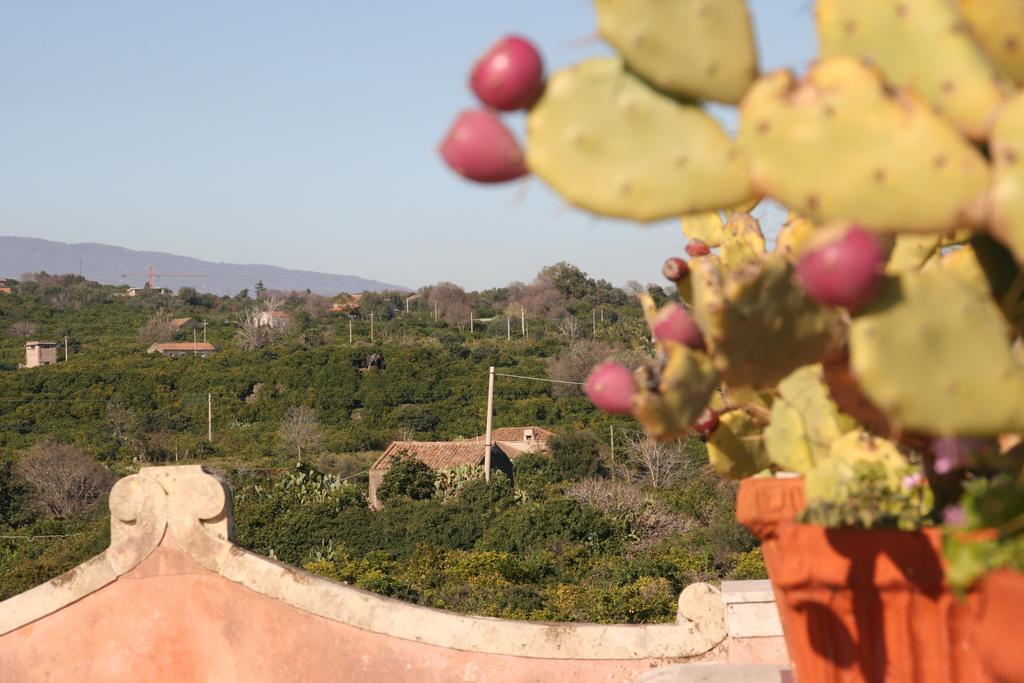 Villa Dei Leoni Santa Tecla Luaran gambar