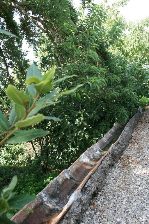 Villa Dei Leoni Santa Tecla Luaran gambar